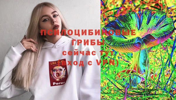 таблы Белокуриха