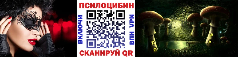 Галлюциногенные грибы Psilocybine cubensis  купить наркотик  Сланцы 